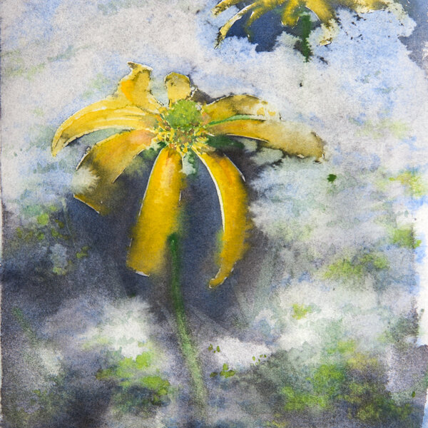 Запах лета